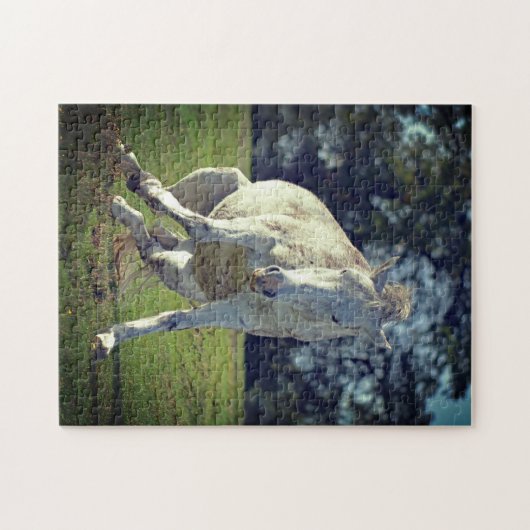 Puzzle Nouvelle Forêt White Pony Funny Pose (Horizontal)