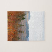 PUZZLE NOUVELLE MONTAGNE BLANCHE HAMPSHIRE (Horizontal)