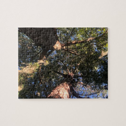 Puzzle Nouvelle perspective (Horizontal)