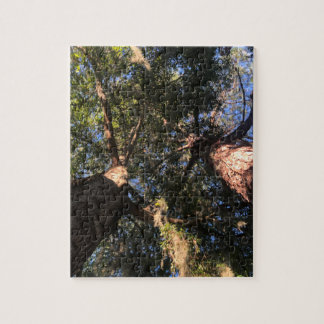 Puzzle Nouvelle perspective