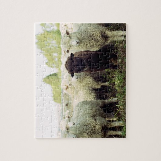 Puzzle Nouvelle-Zélande (Vertical)