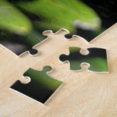 Puzzle Nouvelle-Zélande Pohutukawa Arbre rouge fleurs (Côté)