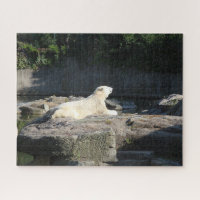 Noyer l'ours polaire du zoo de Berlin