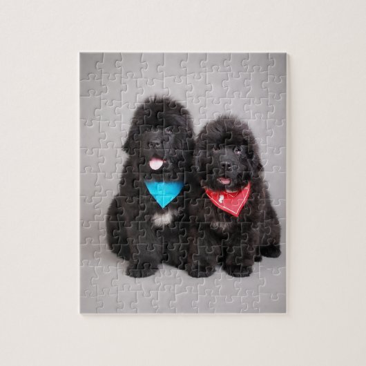 Puzzle Nuwfie (Vertical)