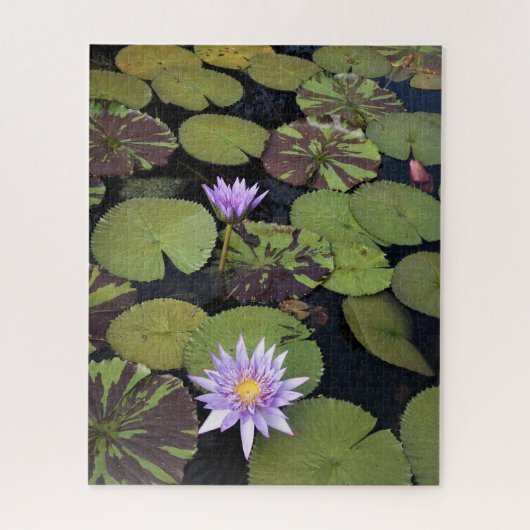 Puzzle Nymphéas (Vertical)
