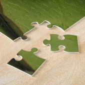 Puzzle Nymphéas hybrides (Côté)