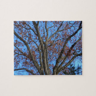 Puzzle Oak Tree in a Blue Autumn Sky -