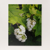 Puzzle Oakleaf Hydrangea (Vertical)