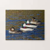 Puzzle Obtenir mes canards dans une rangée : Quatre Buffl (Horizontal)