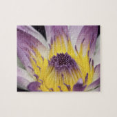 Puzzle Océanie, Fidji, Panama violet Nymphe (Horizontal)