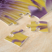 Puzzle Océanie, Fidji, Panama violet Nymphe (Côté)