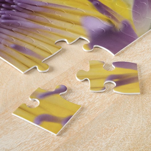 Puzzle Océanie, Fidji, Panama violet Nymphe (Côté)