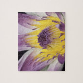 Puzzle Océanie, Fidji, Panama violet Nymphe (Vertical)