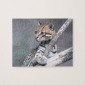 Puzzle Ocelot (Horizontal)