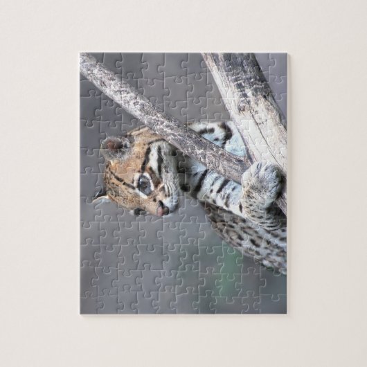 Puzzle Ocelot (Vertical)