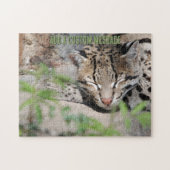 Puzzle Ocelot qui fait la sieste (Horizontal)