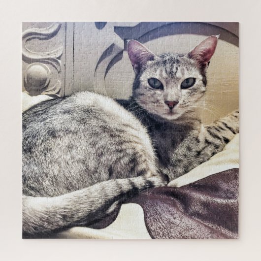 Puzzle Ocicat Beautiful Cat ou your Photo Square (Vertical)