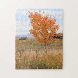 Puzzle Octobre lumineux