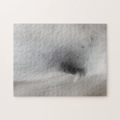 Puzzle OEil blanc animal de cheval (Horizontal)