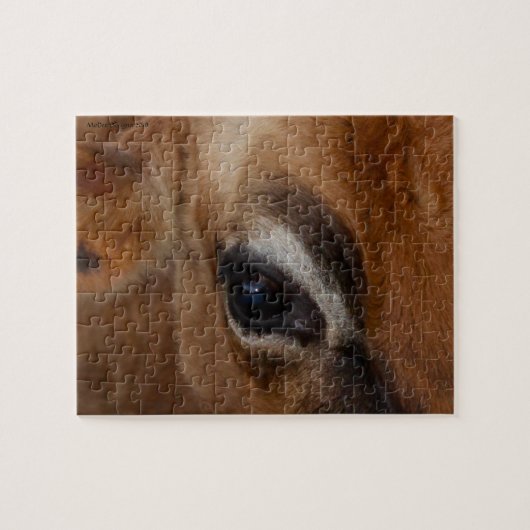 Puzzle Oeil de la vache (Horizontal)
