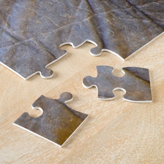 Puzzle Oeil de l'éléphant. (Côté)