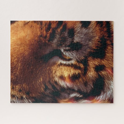 Puzzle Œil de Tigre Doré Gros Plan Faune (Horizontal)