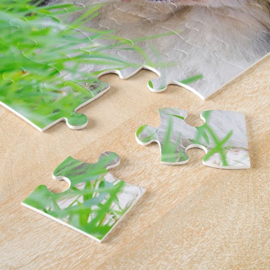 Puzzle Oeil impair border collie se situant dans (Côté)