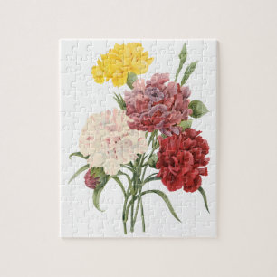 Puzzle Œillets anciens Dianthus Fleurs de jardin Redoute