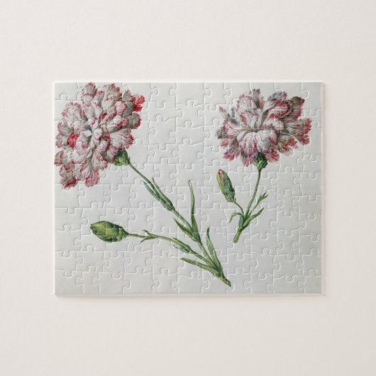 Puzzle Oeillets (la semaine sur le papier) (Horizontal)