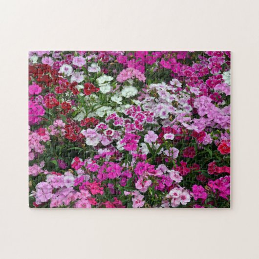 Puzzle Oeillets roses (Horizontal)