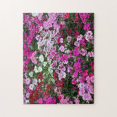 Puzzle Oeillets roses (Vertical)