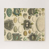 Puzzle OEuf vintage Nid Art Peinture OEufs (Horizontal)