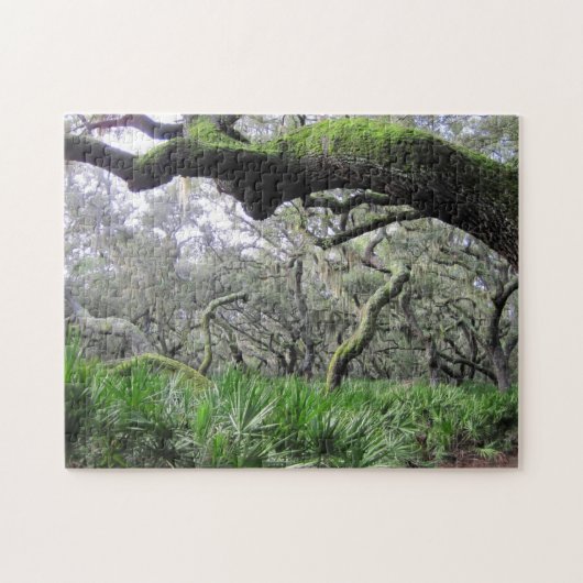 Puzzle of Cumberland Island Forest Legpuzzel (Horizontaal)