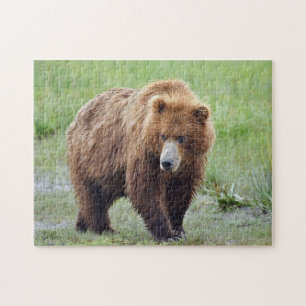 Puzzle of grizzly beer legpuzzel