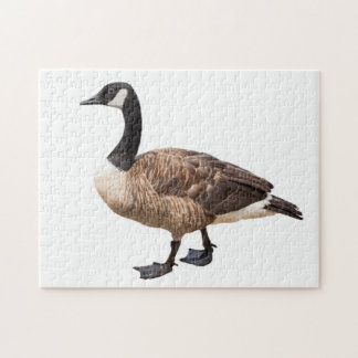 Puzzle Oie