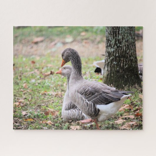 Puzzle Oie (Horizontal)