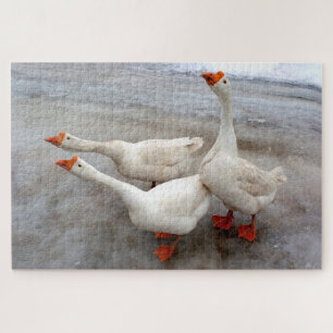 Puzzle Oie blanche
