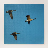 Puzzle Oie canadienne (Vertical)