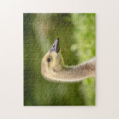 Puzzle Oie canadienne (Gosling) (Vertical)