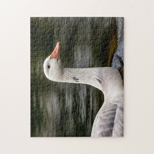 Puzzle Oie canadienne leuciste (Vertical)
