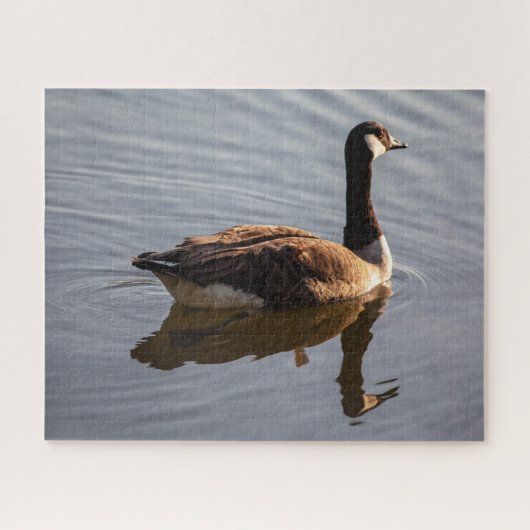 Puzzle Oie canadienne sur le lac (Horizontal)