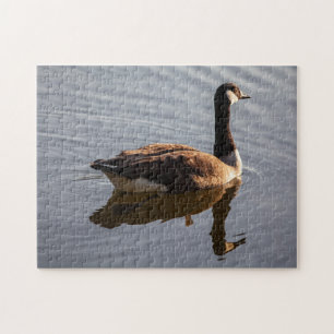 Puzzle Oie canadienne sur le lac