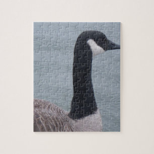 Puzzle Oie canadienne sur un lac
