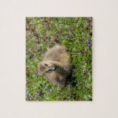Puzzle Oie de bébé (Gosling) (Vertical)