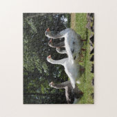 Puzzle Oie domestique (Vertical)