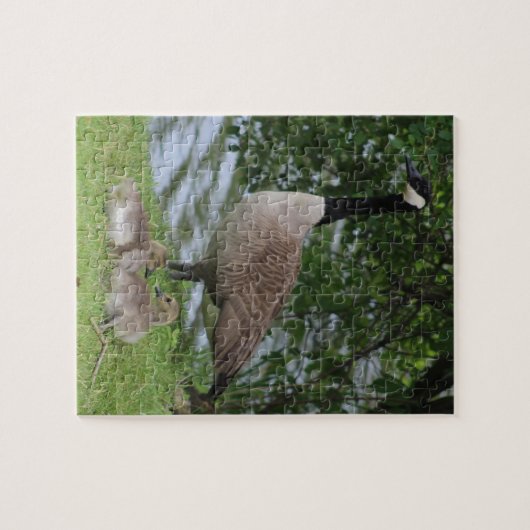 Puzzle Oie et oisons (Horizontal)