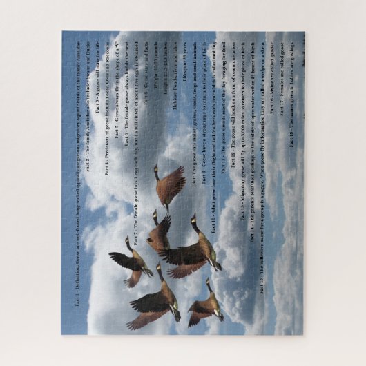 PUZZLE OIES (Vertical)