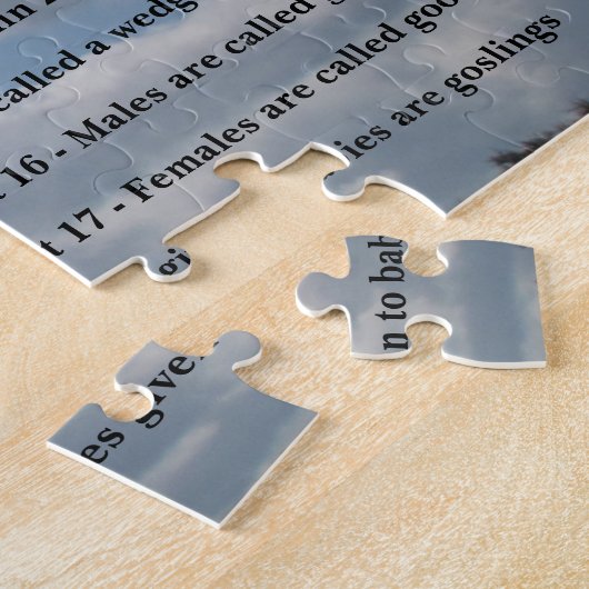 PUZZLE OIES (Côté)