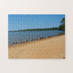 Puzzle Oies au lac Silver, Wisconsin