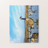 Puzzle Oies canadiennes. (Vertical)